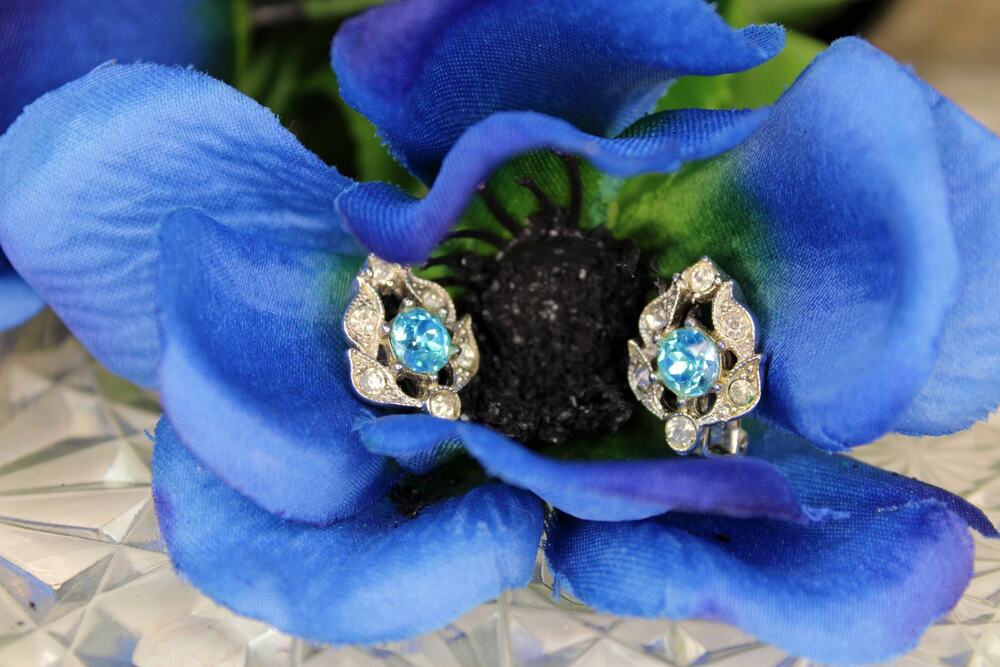 Bogoff Blue and Clear Rhinestone Clip-on Earrings